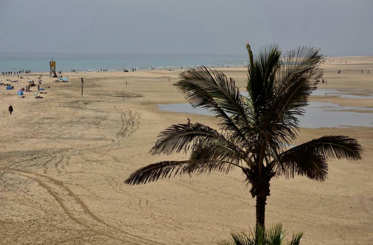 Amanecer Paraiso كوستا كالما المظهر الخارجي الصورة